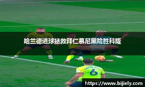 威廉希尔APP